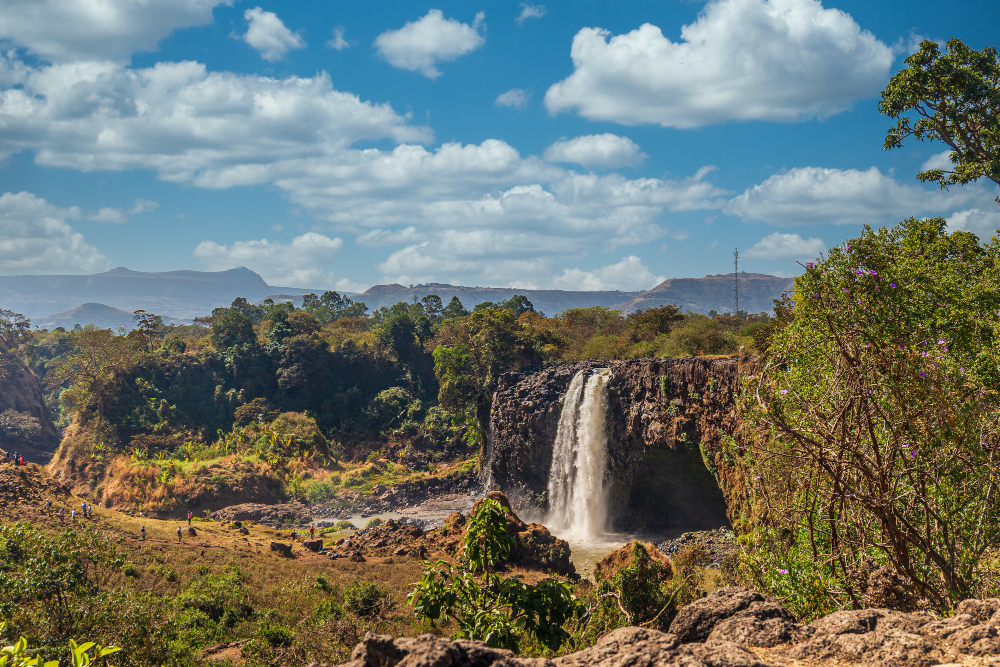 Reisevaksine til Zambia – Alt du trenger å vite